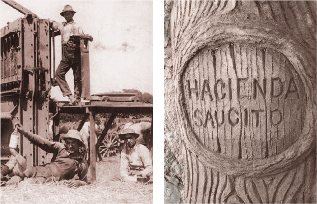 Tarpy's History
