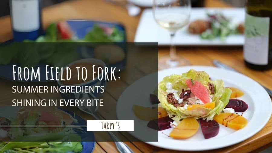 From Field to Fork: Summer Ingredients Shining in Every Bite