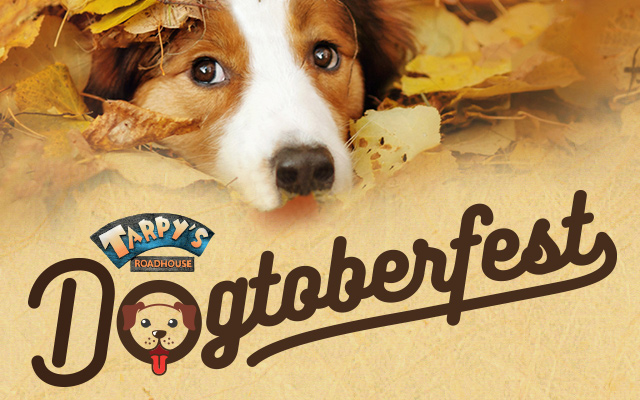 While they’re Fresh! Dogtoberfest