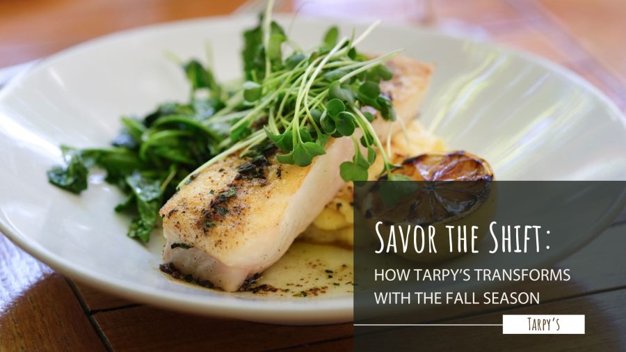 Savor the Shift: How Tarpy’s Transforms with the Fall Season